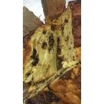 Panettone da 5kg - immagine 6