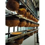 Panettone da 5kg - immagine 2